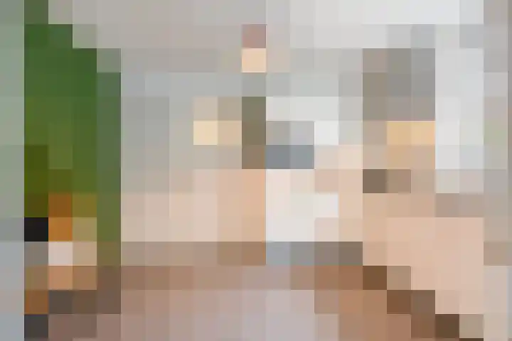 Oijenseweg 33 Oss thumbnail 13