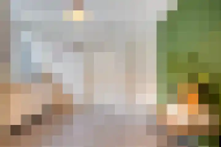 Oijenseweg 33 Oss thumbnail 15