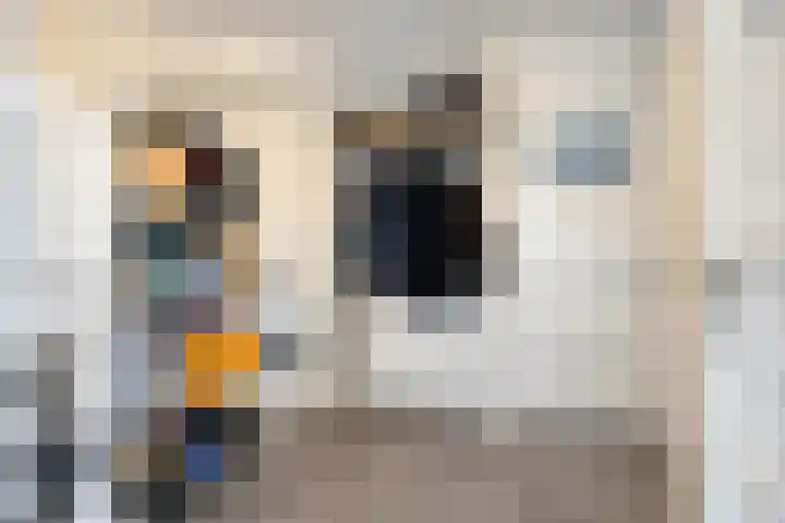 Oijenseweg 33 Oss thumbnail 16