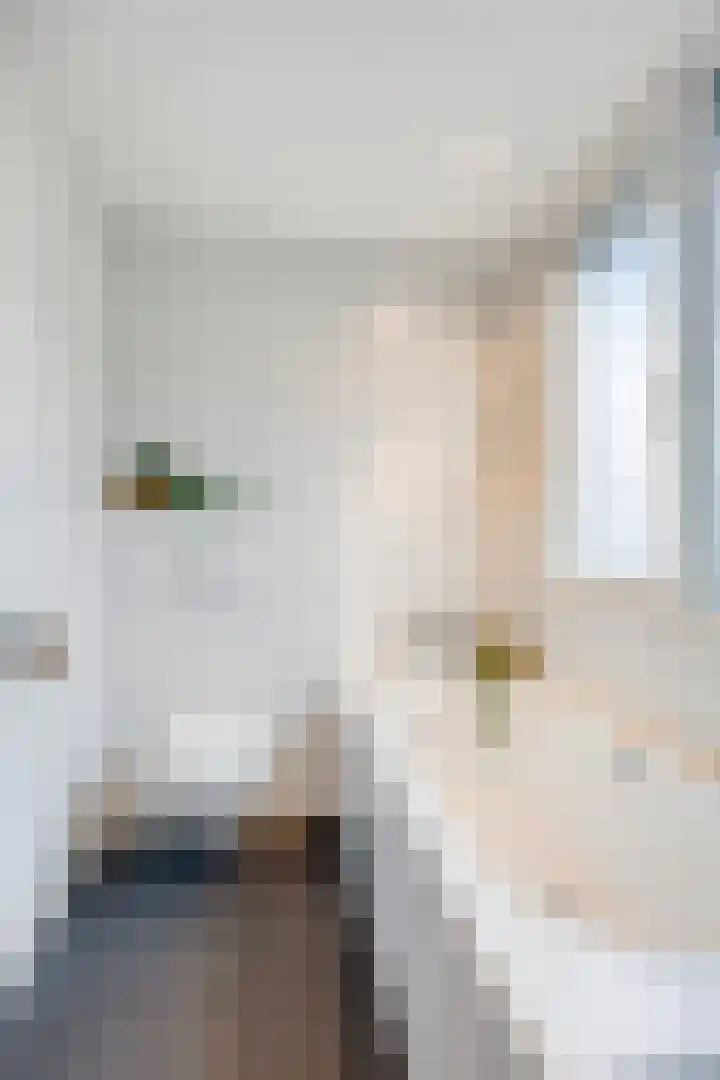 Oijenseweg 33 Oss thumbnail 21