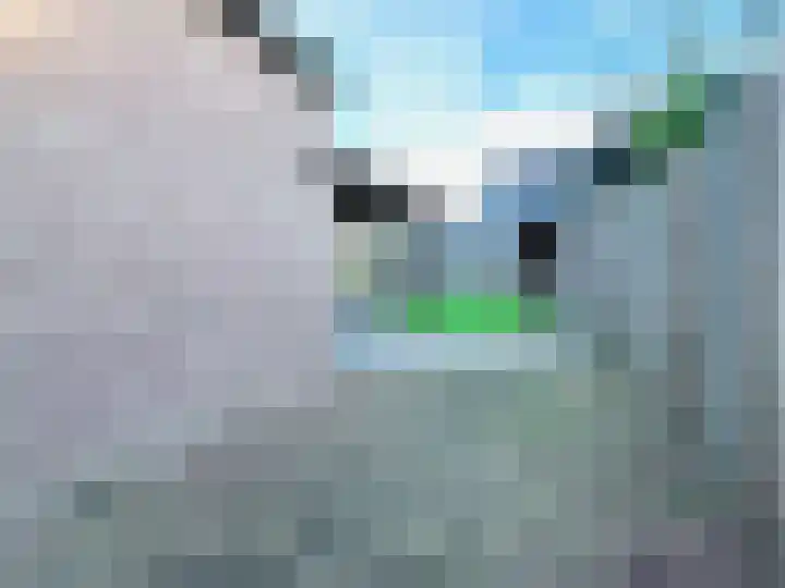 Oijenseweg 33 Oss thumbnail 31