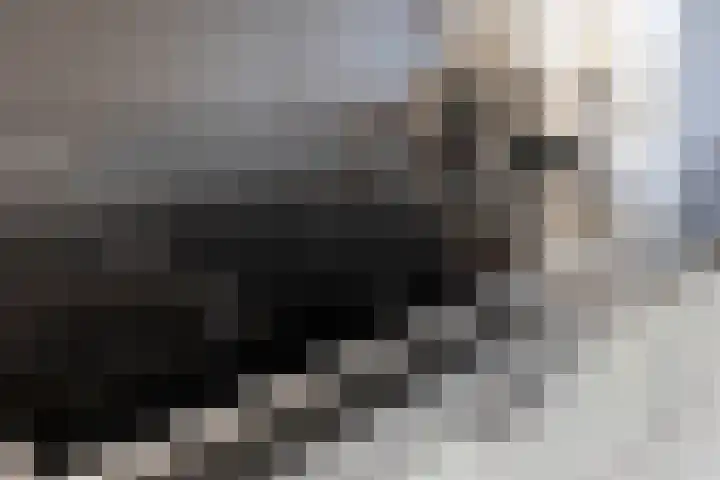 Oijensingel 15 Tilburg thumbnail 19