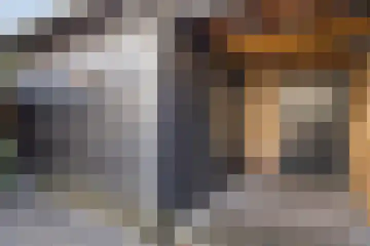 Oijensingel 15 Tilburg thumbnail 53