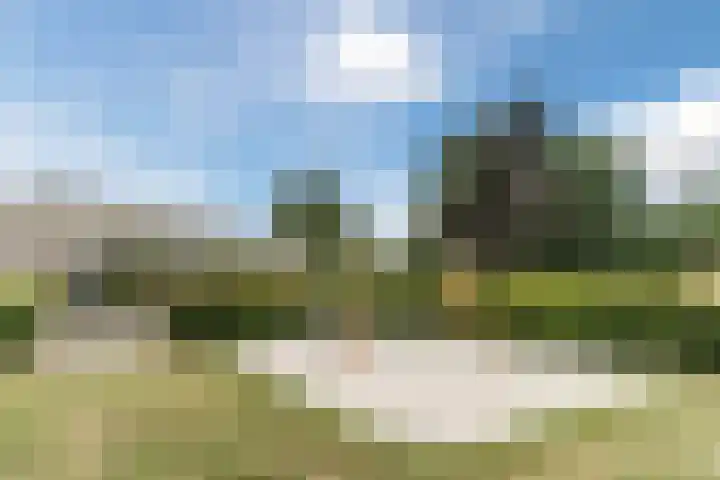 Oijensingel 41 Tilburg thumbnail 38