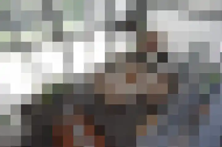 Oker 1 Dronten thumbnail 19