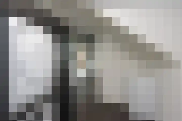 Oker 1 Dronten thumbnail 35