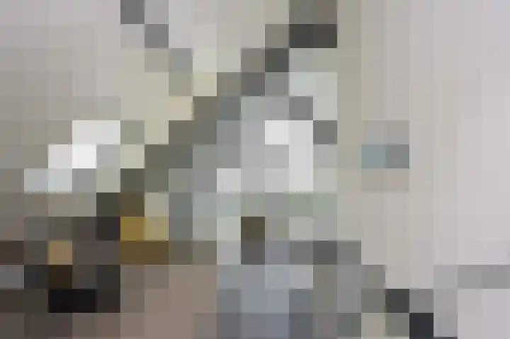 Oker 1 Dronten thumbnail 37