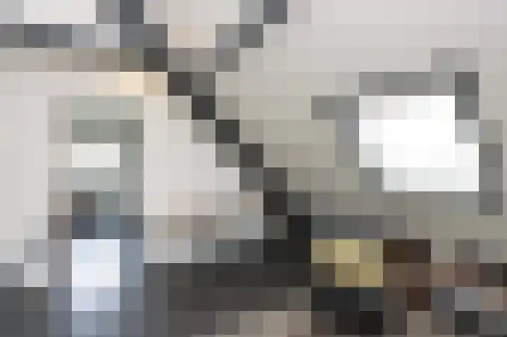 Oker 1 Dronten thumbnail 39