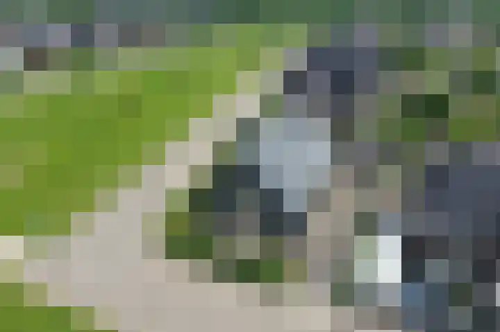 Oker 1 Dronten thumbnail 4