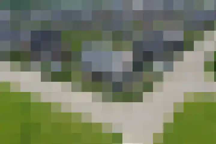 Oker 1 Dronten thumbnail 5