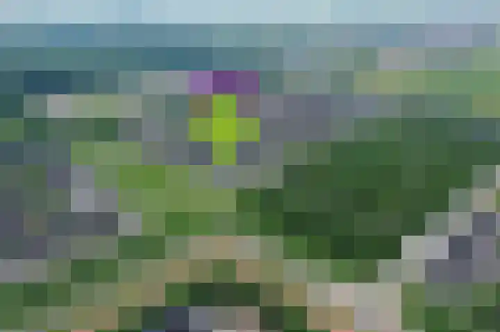 Oker 1 Dronten thumbnail 61