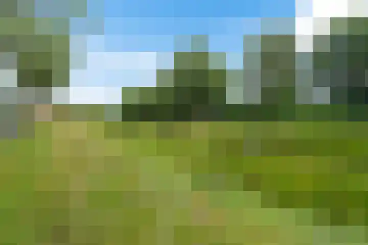 Oksewei 85 Joure thumbnail 10