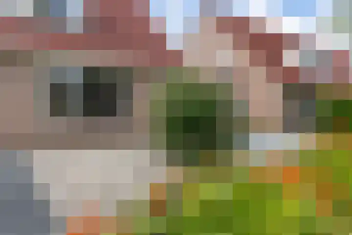 Oksewei 85 Joure thumbnail 11