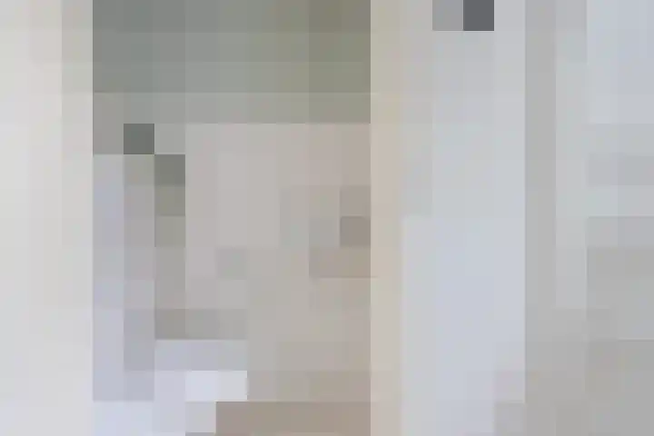 Oksewei 85 Joure thumbnail 15