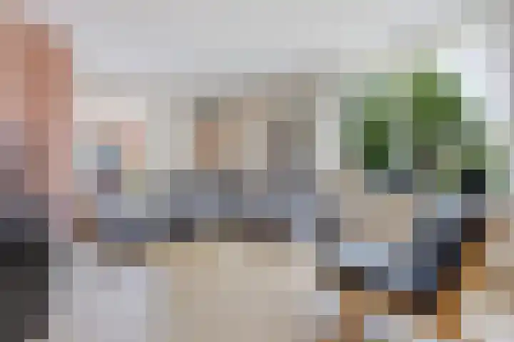 Oksewei 85 Joure thumbnail 17