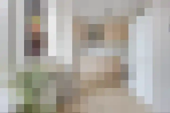 Oksewei 85 Joure thumbnail 22