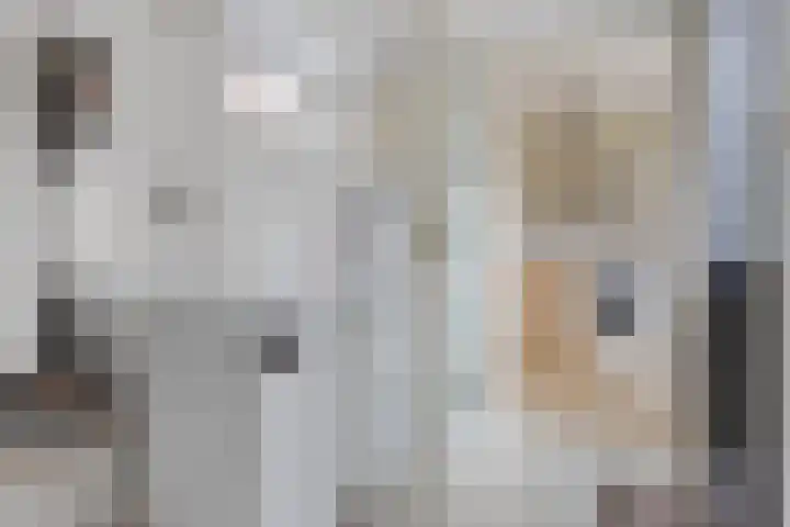 Oksewei 85 Joure thumbnail 25