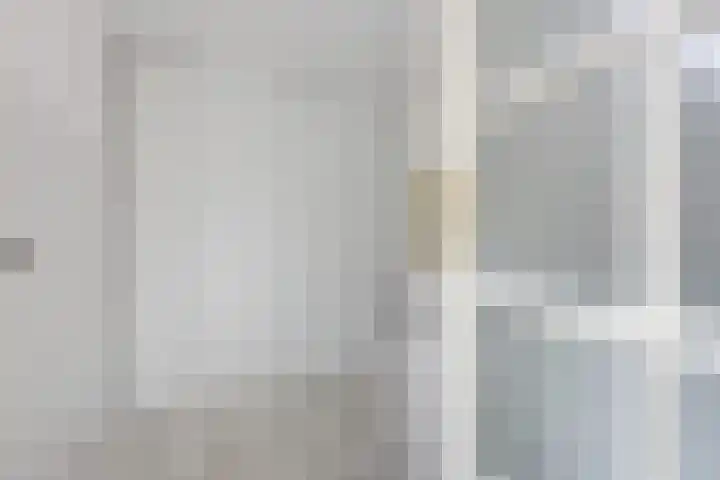 Oksewei 85 Joure thumbnail 26