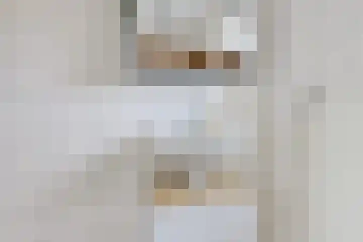 Oksewei 85 Joure thumbnail 29