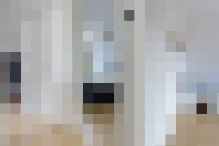 Oksewei 85 Joure thumbnail 33