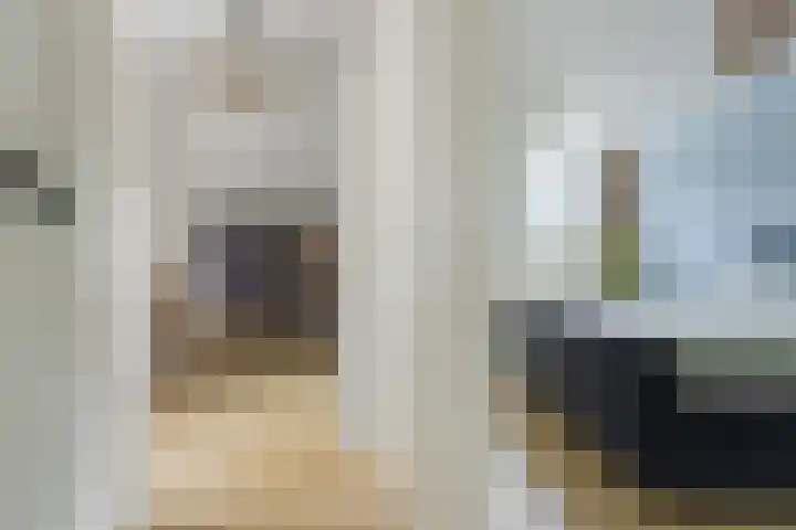 Oksewei 85 Joure thumbnail 36