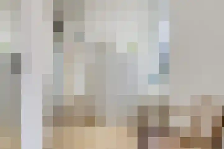 Oksewei 85 Joure thumbnail 38
