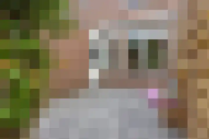 Oksewei 85 Joure thumbnail 41