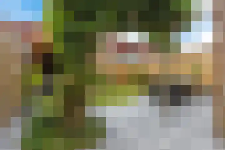 Oksewei 85 Joure thumbnail 42