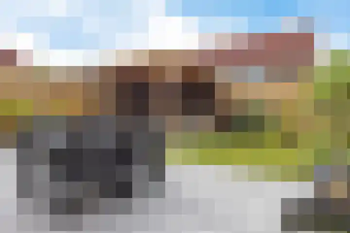 Oksewei 85 Joure thumbnail 43
