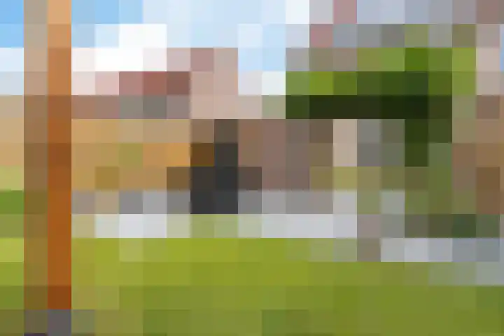 Oksewei 85 Joure thumbnail 45