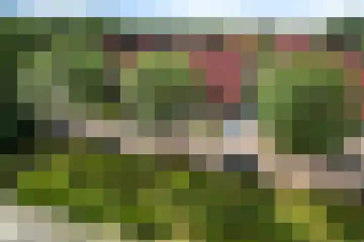 Oksewei 85 Joure thumbnail 5