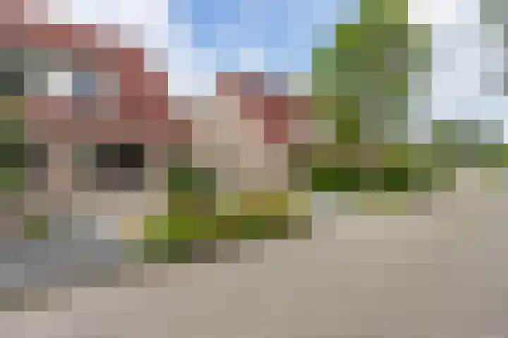 Oksewei 85 Joure thumbnail 8