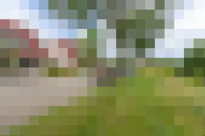 Oksewei 85 Joure thumbnail 9