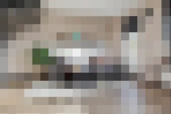 Oksholm 227 Hoofddorp thumbnail 11