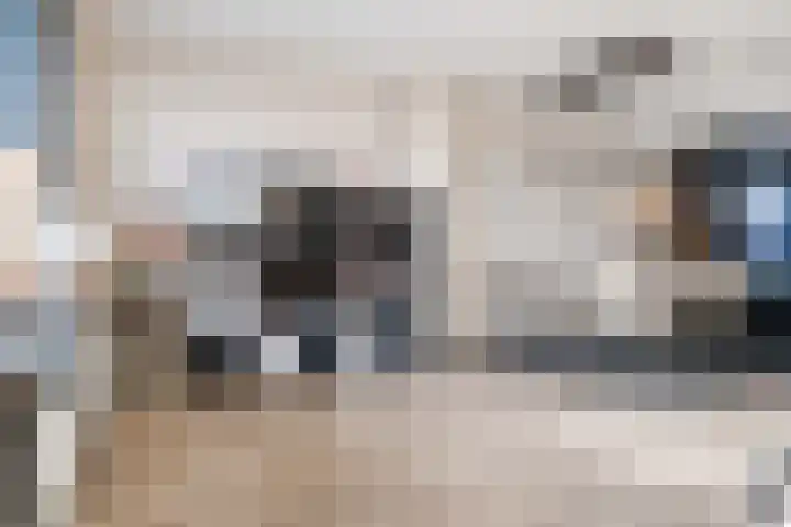 Oksholm 227 Hoofddorp thumbnail 14