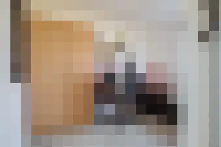 Oksholm 227 Hoofddorp thumbnail 17