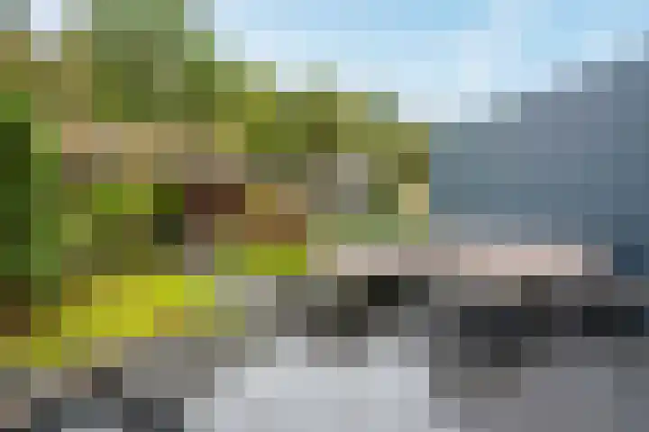 Okster 12 Roden thumbnail 14
