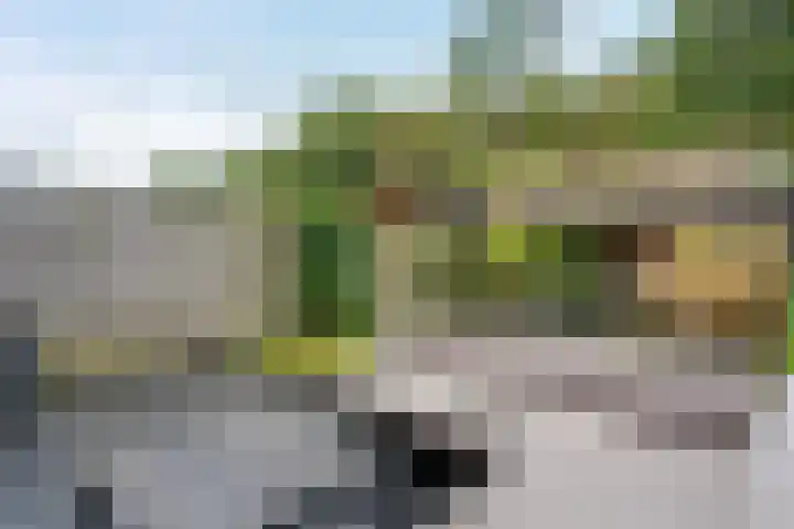 Okster 12 Roden thumbnail 15