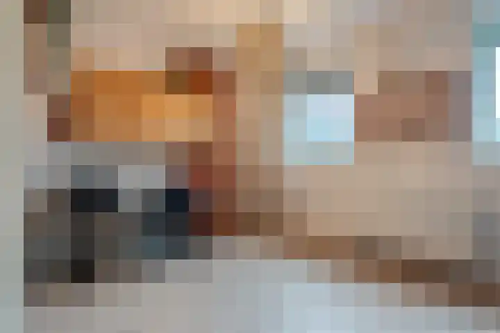 Okster 12 Roden thumbnail 24