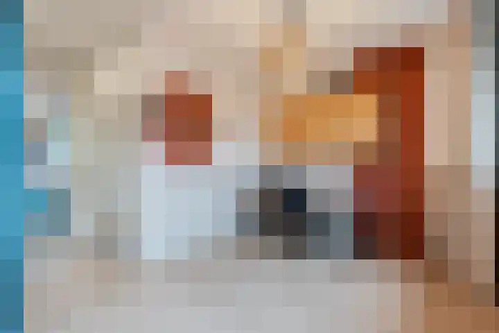 Okster 12 Roden thumbnail 25