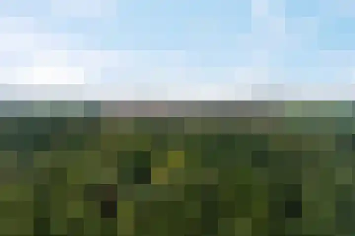 Okster 12 Roden thumbnail 36