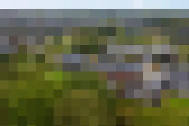 Okster 12 Roden thumbnail 37