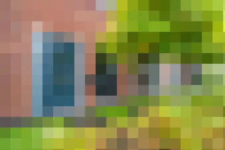 Okster 12 Roden thumbnail 4
