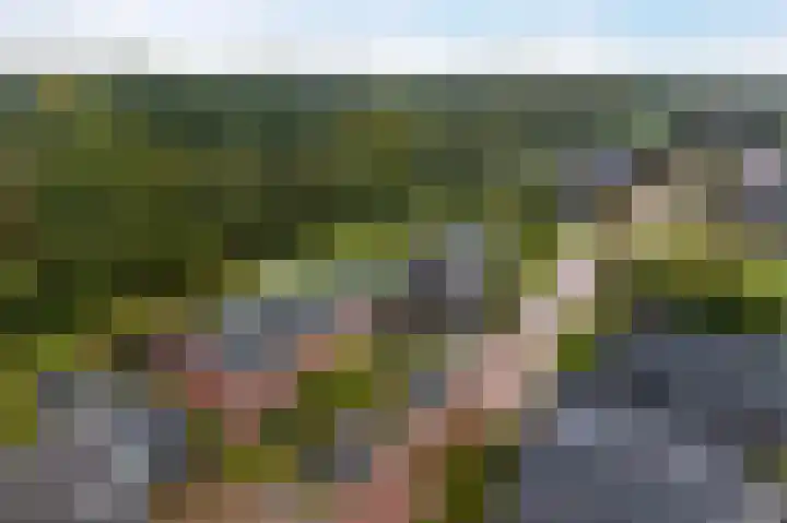 Okster 12 Roden thumbnail 40