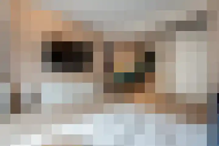Okster 12 Roden thumbnail 9