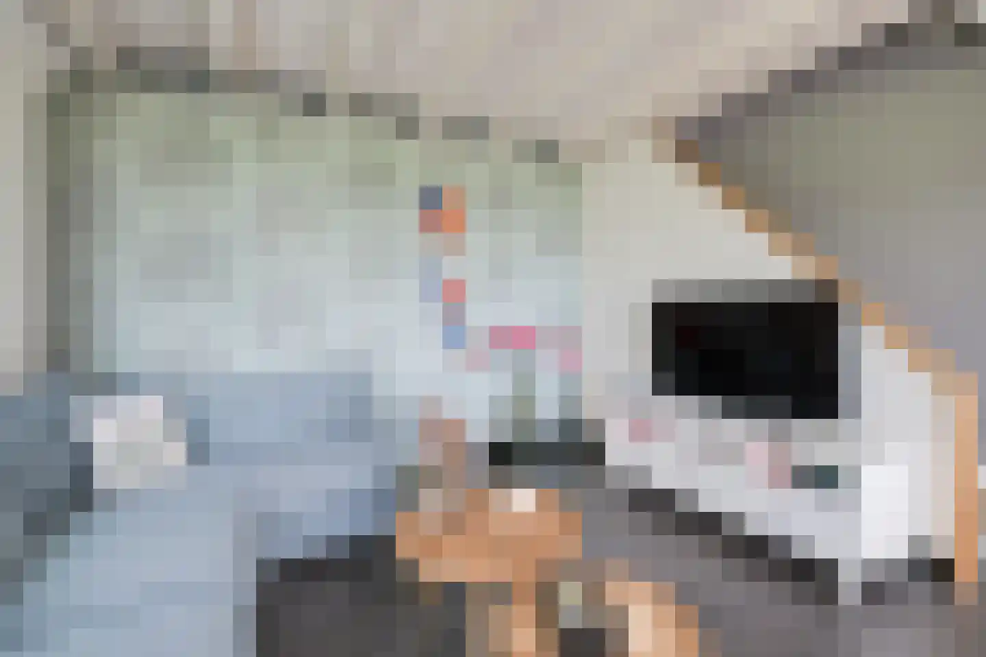 Olde Kaste 4 A Keijenborg thumbnail 70