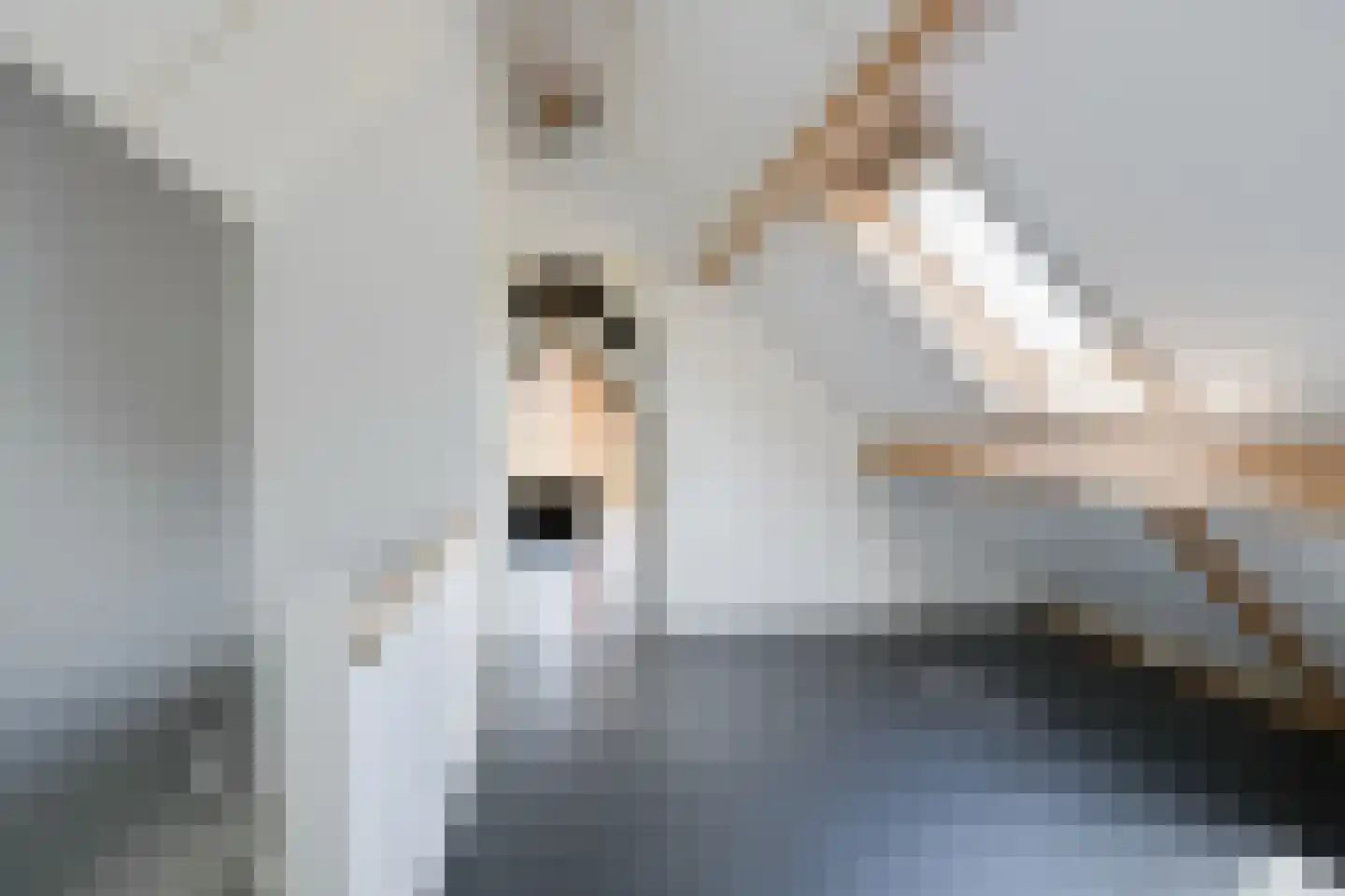 Olde Kaste 4 A Keijenborg thumbnail 74