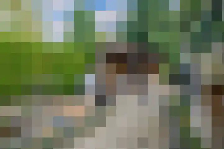 Oldeberkoperweg 5 Oudehorne thumbnail 39