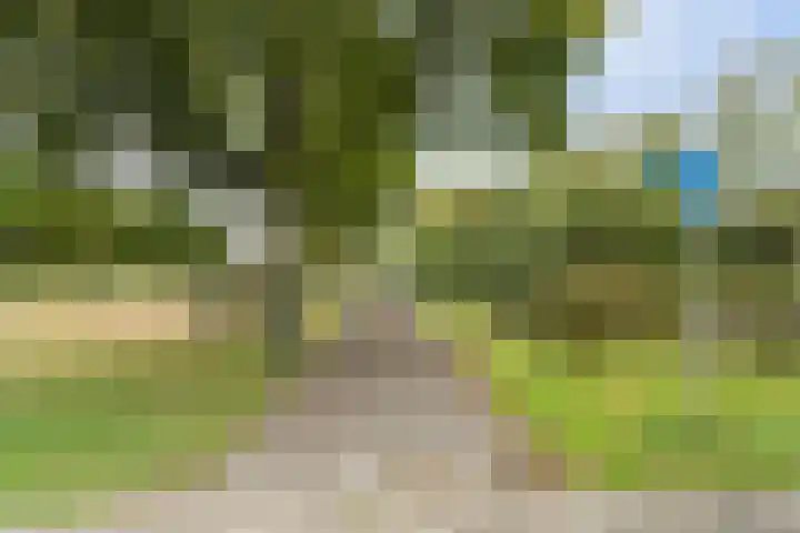Oldegaarde 800 Rotterdam thumbnail 10