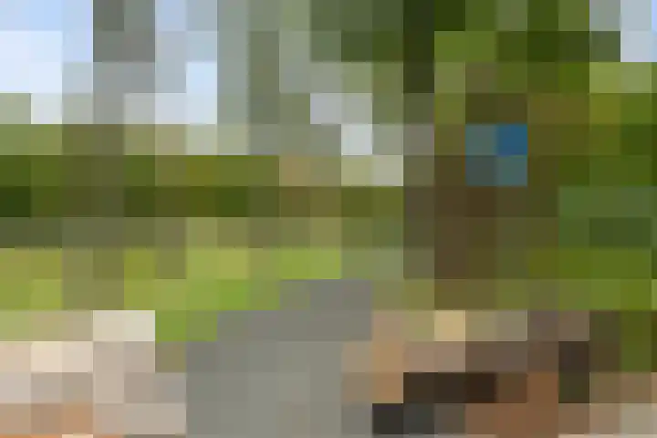 Oldegaarde 800 Rotterdam thumbnail 11